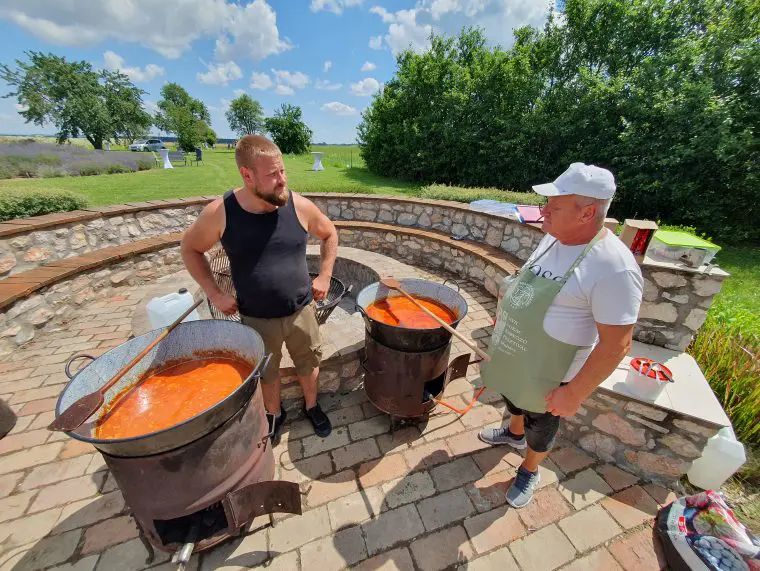 20230629_111936-760x571