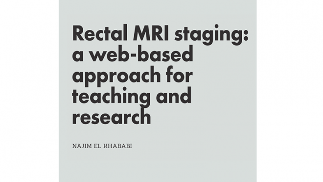 Rectal MRI staging: a web-based approach for teaching and research